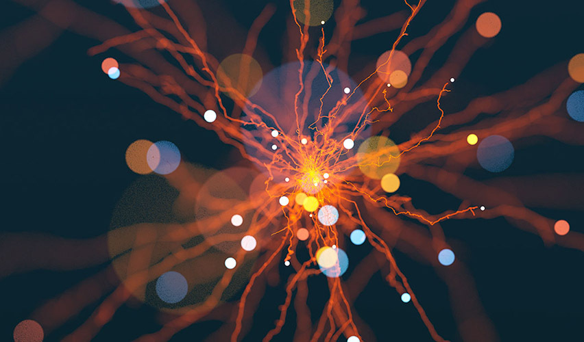 No Duty to Defend BIPA Lawsuit Given Absence of Data Breach or Security